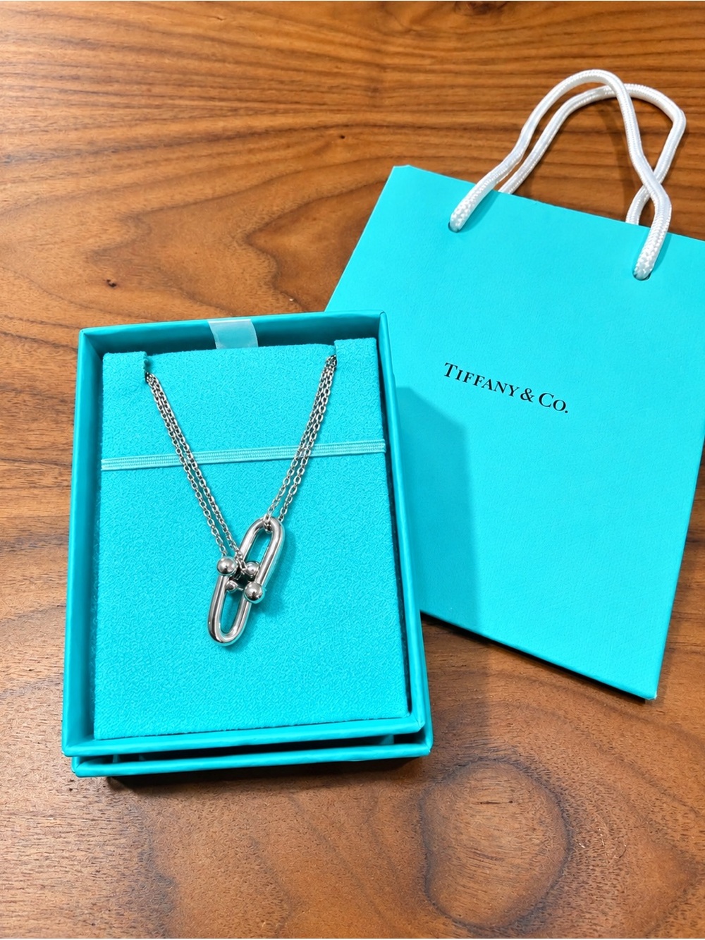 Tiffany & Co. Silver Double-Link Necklace with Blue Presentation